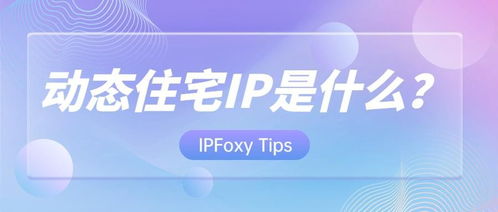 动态住宅代理与票务代理服务 定义、应用与辨析